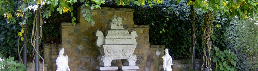 Self Realization Fellowship